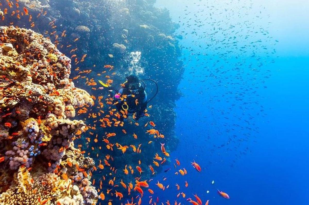 Красное море1 красное море