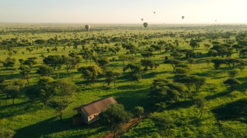 Awali Serengeti Camp 5*